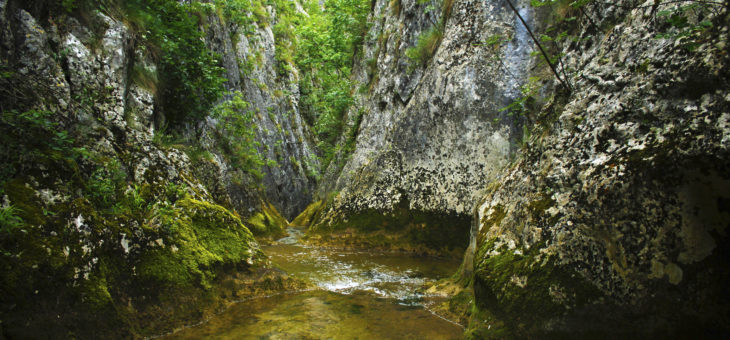 Kanjon Belice i Svrljiška klisura